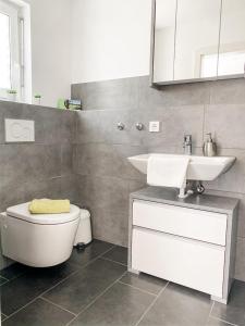 een badkamer met een wastafel, een toilet en een spiegel bij Ferienwohnung Bodensee Nenzingen Hegau in Orsingen-Nenzingen