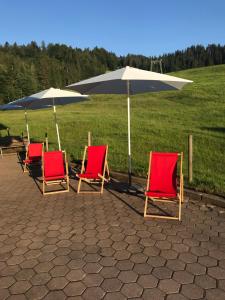 Fotografia z galérie ubytovania Kleine Ferienwohnung am Rande der Wildnis v destinácii Sibratsgfäll