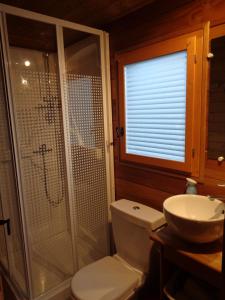 a bathroom with a shower and a toilet and a sink at Domaine Moulin d'Elemiah in Gémozac
