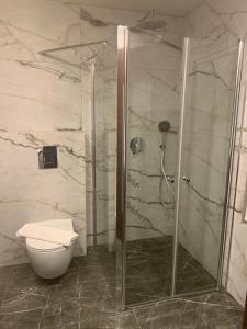 a bathroom with a shower and a toilet at Tabar Hotel in Nazareth