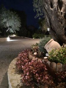 a garden with pink flowers in a park at night at Nikoli Apartments in Benitses