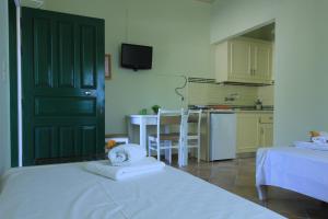 A kitchen or kitchenette at iliobasilema studios & apartments