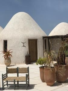 ein Gebäude mit einer Bank und Topfpflanzen davor in der Unterkunft Les Jardins de Villa Maroc in Essaouira