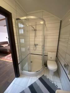 ein Bad mit einer Dusche und einem WC in der Unterkunft Kozak's Dream in Kamjanez-Podilskyj