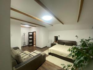 ein Schlafzimmer mit einem Bett und einem Sofa darin in der Unterkunft Kozak's Dream in Kamjanez-Podilskyj