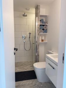 a bathroom with a shower with a toilet and a sink at Apartment KORA in Pervalka