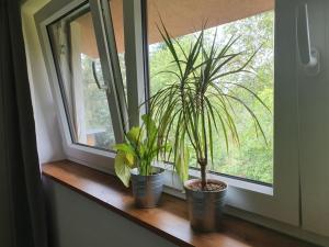 Aed väljaspool majutusasutust Apartmány Svatá