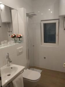 uma casa de banho com um WC, um lavatório e um chuveiro em Apartment Slavica em Lozovac