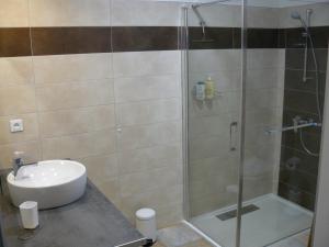 a bathroom with a shower and a sink at STUDIO ENTRE SAVINES ET EMBRUN PRES DU LAC DE SERREPONçON in Crots