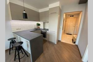 Kitchen o kitchenette sa LUX 1BD/1BA City Center Apartment