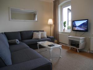 Sonja House Abertamy في أبيرتامي: غرفة معيشة مع أريكة وتلفزيون