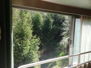 Balkón alebo terasa v ubytovaní Vetrate sul bosco