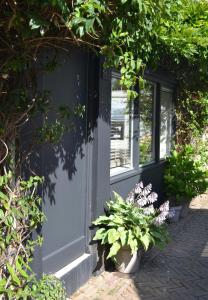 una puerta azul con algunas plantas delante de ella en Oranje Nassau aan Zee Studio, en Zandvoort