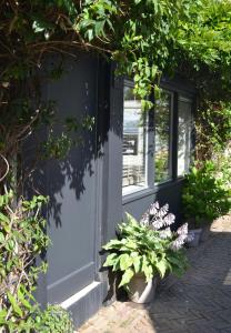 a blue door with some plants in front of it at Studio Oranje Nassau aan Zee in Zandvoort