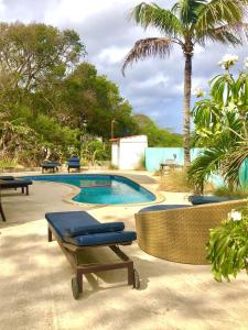 a pool with two lounge chairs and a palm tree at Advantage Apartments Curacao in Willemstad