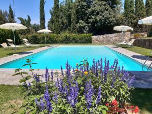 Bazén v ubytování Agriturismo Conca Verde nebo v jeho okolí