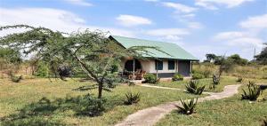 una pequeña casa con techo verde en un campo en Africa Safari Serengeti Ikoma - Wildebeest migration is around!, en Serengeti