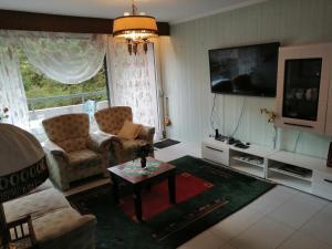 a living room with two chairs and a tv at Schönes Apartment mit Pool&Sauna in Bingen am Rhein