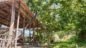 Zahrada ubytování Guest House Okropilauri