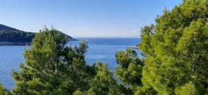 a view of a lake from between two trees at Apartment Nono Ivo in Vis