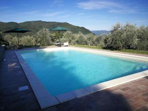 una piscina con agua azul en un patio trasero en casa marconi, en Vetriano