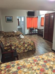 Habitación de hotel con 2 camas y escritorio en Hotel Mexico en Xalapa