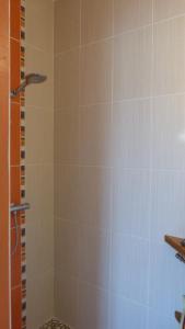 a bathroom with a shower with a tiled wall at Apartment Le Jardinet in Talence