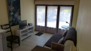 uma sala de estar com um sofá e uma televisão em Apartment Le Jardinet em Talence