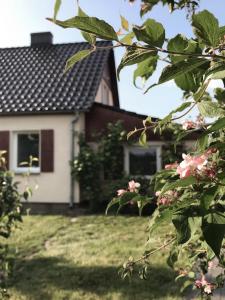 Vonkajšia záhrada v ubytovaní Agroturystyka pod jeleniem