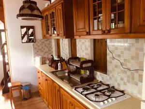 a kitchen with a sink and a stove top oven at Wiśniowy Młyn in Wiśniowa