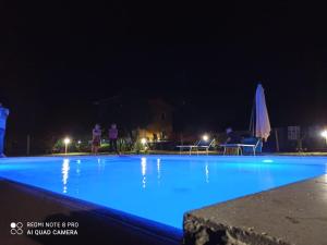 Bazén v ubytování Viale dei Ciliegi nebo v jeho okolí + 22 fotografií