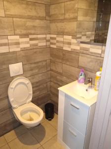 a bathroom with a toilet and a sink at LE GRAND CARNOT in Nolay