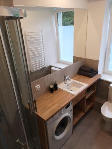 een badkamer met een wasmachine en een wastafel bij Apartament Izerski Raj in Świeradów-Zdrój