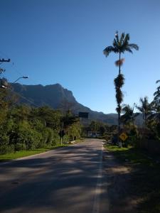 a palm tree on the side of a road at Armazém do Porto Chalé Jasmim in Morretes +4 photos