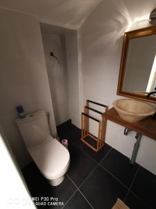 a bathroom with a white toilet and a sink at La Tour notre Dame in Boulogne-sur-Mer