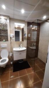 ein Bad mit einem WC, einem Waschbecken und einer Dusche in der Unterkunft Cozy & Quiet Apartment Ohrid in Ohrid