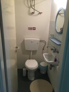 La petite salle de bains est pourvue de toilettes et d'un lavabo. dans l'établissement Aggelis Traditional Appartment, à Sparte