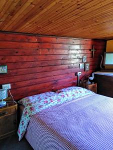 a bedroom with a wooden wall with a bed at Casa Zizì in Crodo