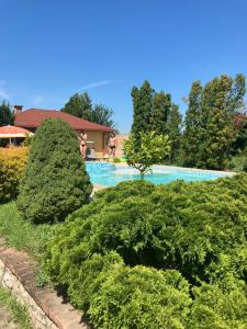 Πισίνα στο ή κοντά στο Kuća na dan Villa Holiday