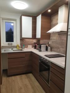 Kuchyň nebo kuchyňský kout v ubytování Apartmán U Labe