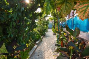 ogród z zielonymi roślinami i ścieżką w obiekcie Villa Rezos w mieście Rezowo