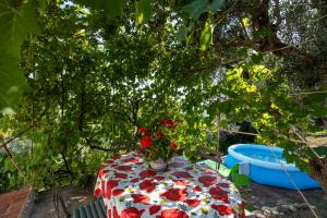 Zahrada ubytování Borgo Case Lucidi relax