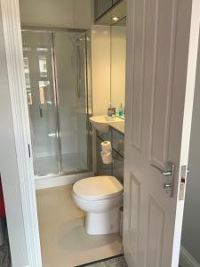 a bathroom with a toilet and a glass shower at 8 Aspland Road in Norwich