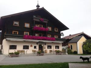 Imagine din galeria proprietății Appartement Hammerschmidt în Maishofen