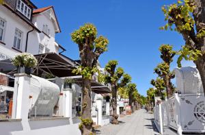 una calle con árboles frente a un edificio en Appartementhaus Greta im Ostseebad en Ostseebad Sellin