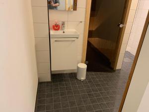 Koupelna v ubytování Fjällhus 1