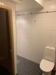 Koupelna v ubytování Fjällhus 1