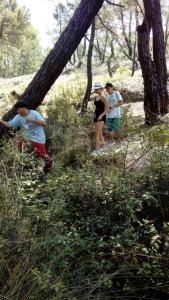 a group of people walking in the woods at Albergue Ciudad del Doncel in Sigüenza