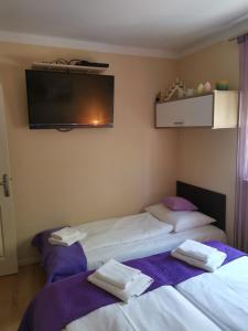 two beds in a room with a tv on the wall at Apartman Lučica in Zadar