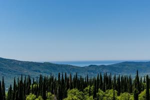 a group of cypress trees in the hills at Villa Mateo with Private Pool in Gruda